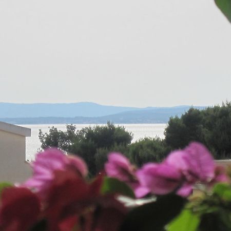 Apartments Villa Violet Zadar Exteriör bild
