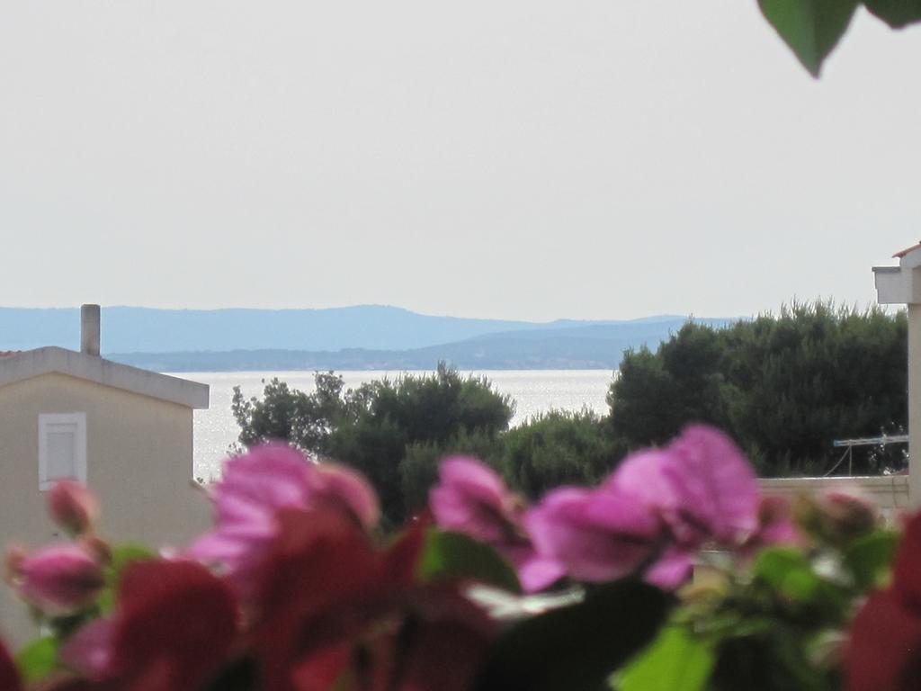 Apartments Villa Violet Zadar Exteriör bild